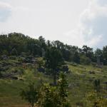 2017OTRA-1_936 (August 27, 2017)